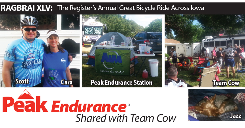 Peak Endurance Shared with Team Cow