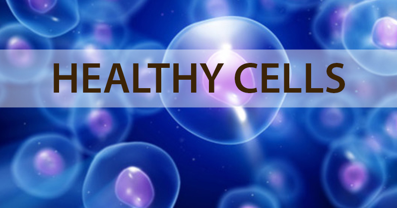 Healthy Cells
